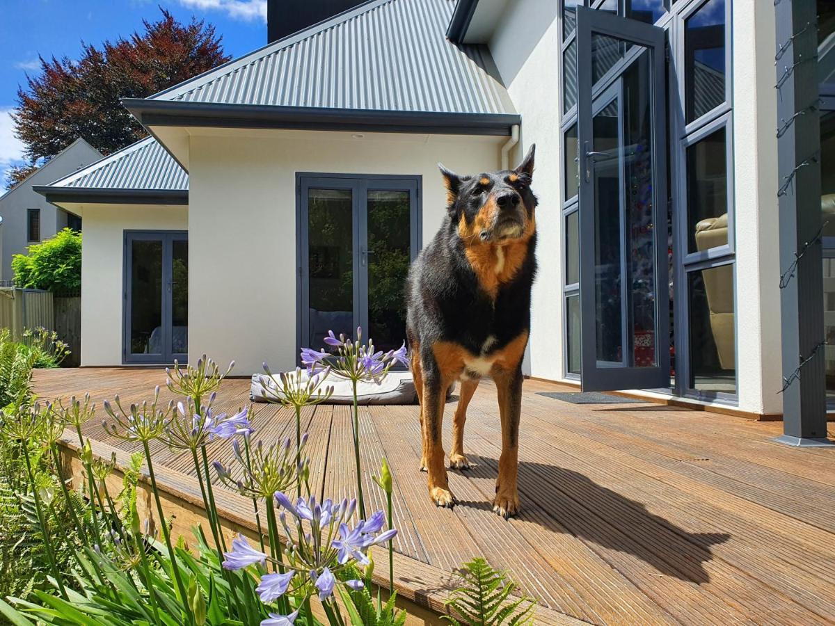 Christchurch Airport House Extérieur photo